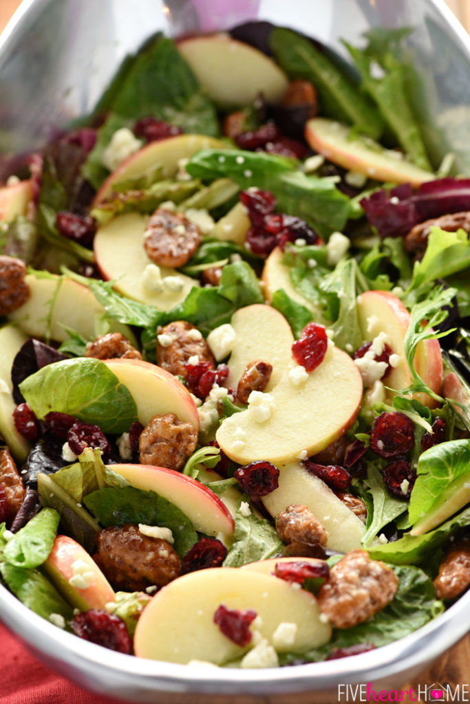 honeycrisp-apple-cranberry-pecan-blue-cheese-mixed-greens-salad-thanksgiving-christmas-recipe-by-five-heart-home_700pxbowl