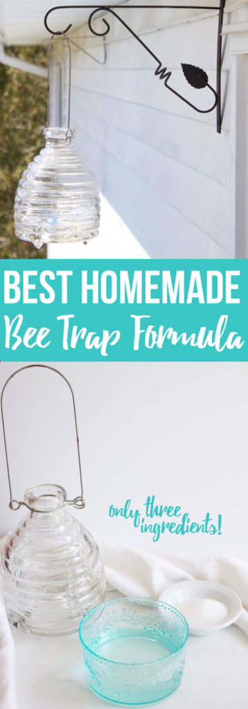 Best Homemade Bee Trap Formula; Homemade bee trap solution for your bee catcher- www.nikkisplate.com