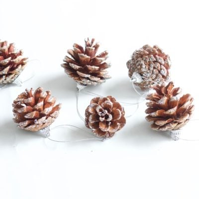 Best DIY Glittered Pinecones || Easy Christmas decor craft thats easy and looks great! Everyone will love! || Nikki's Plate