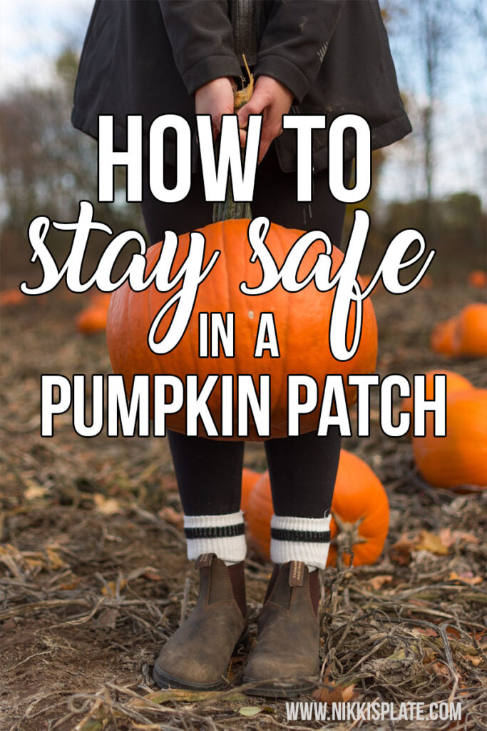 stay safe in a pumpkin patch Pinterest 
