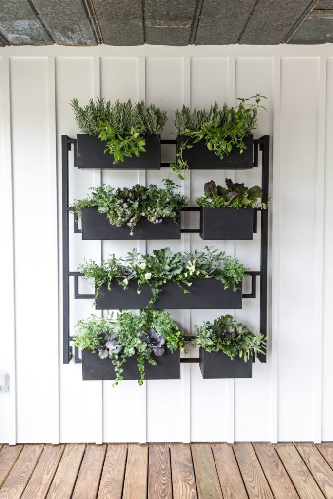 Garden boxes on a wall, side of house garden, greenery on wall, black planters