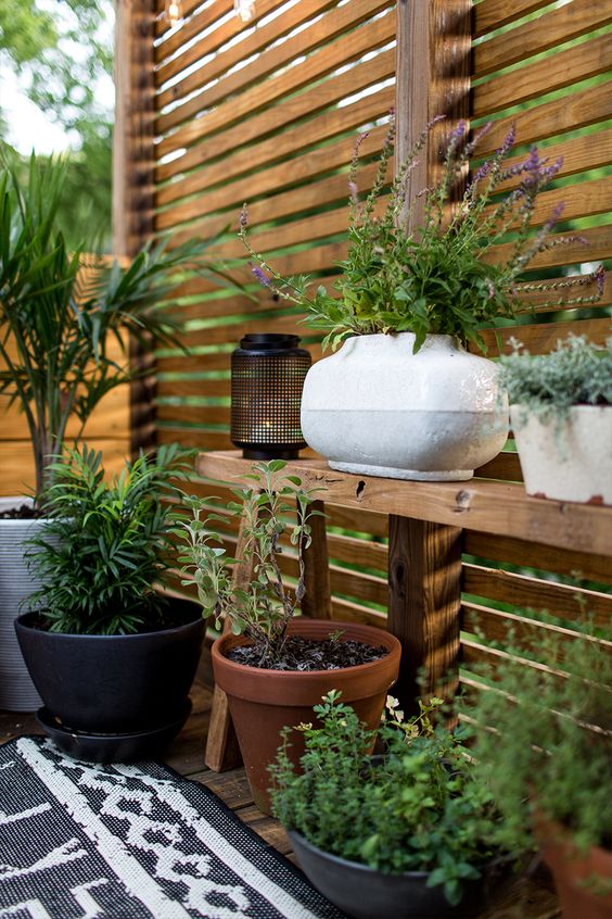 Tips for Styling your Deck this Summer; add greenery, potted plants