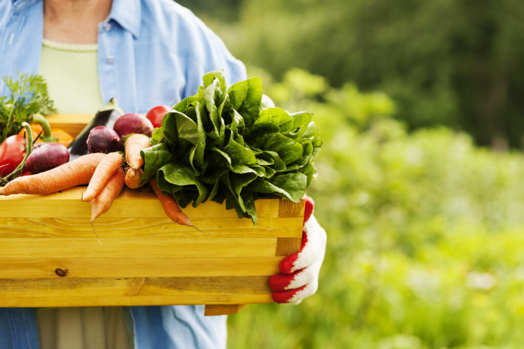 Senior woman holding box with vegetables || Genius Vegetable Gardening Tips for Beginners; Not sure how to start a vegetable garden? Then let these vegetable gardening tips guide you through how to plant, grow, and harvest vegetables.