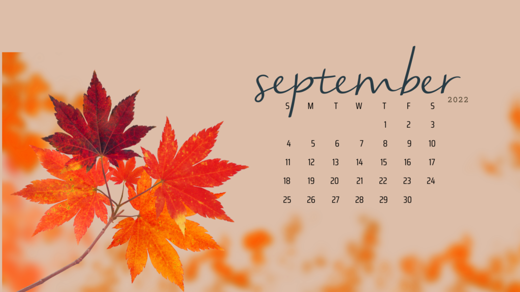 Free September 2022 Desktop Calendar Backgrounds; Here are your free September backgrounds for computers and laptops. Tech freebies for this month!