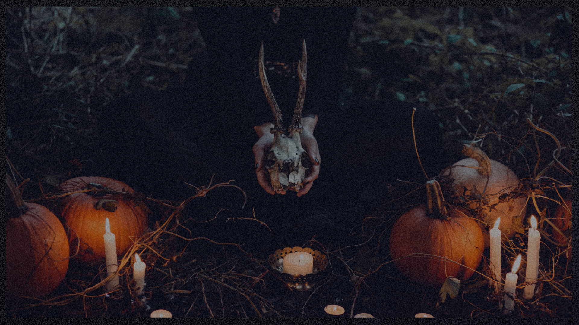 20 Halloween Aesthetic Wallpaper Backgrounds (FREE DOWNLOAD