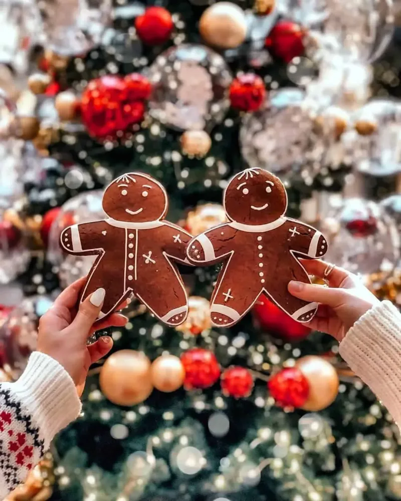 35 Christmas Aesthetic Photos to Put You in the Holiday Spirit NP