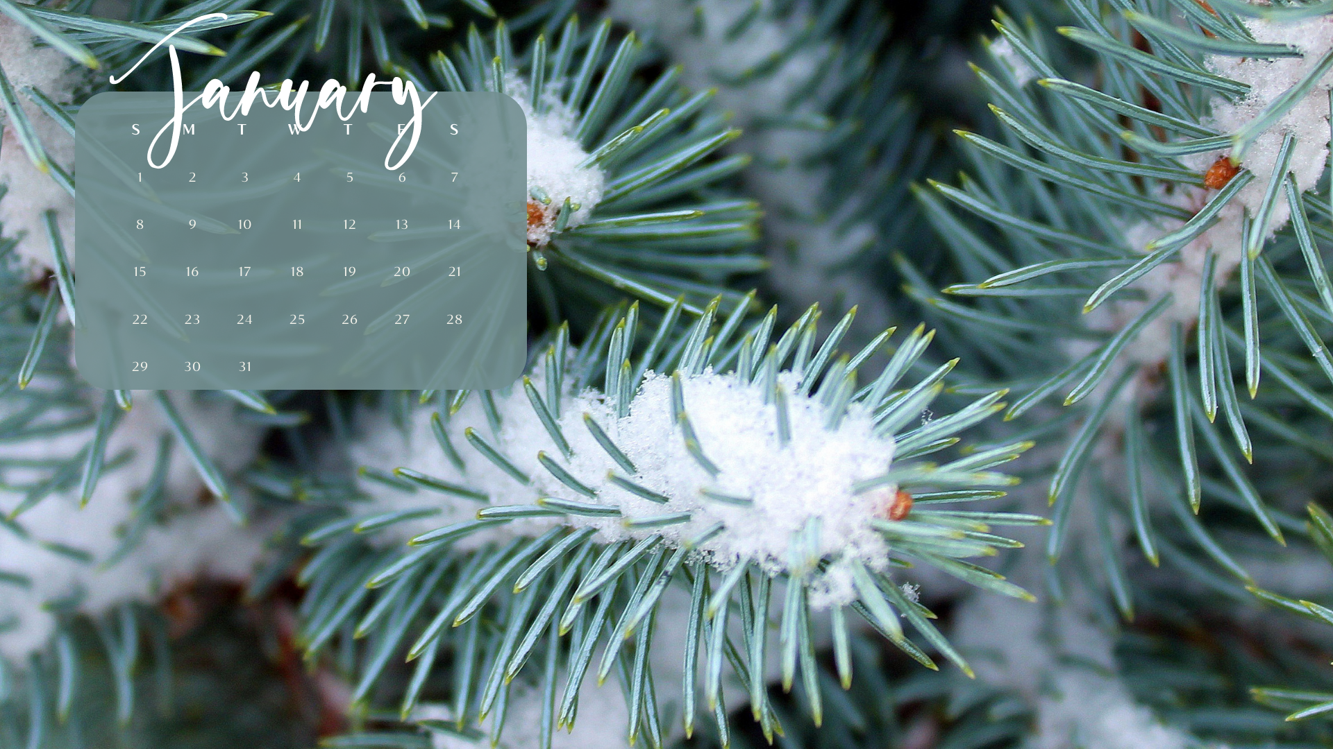 JANUARY 2023 desktop calendar backgrounds;  Here are your free January backgrounds for computers and laptops. Tech freebies for this month!