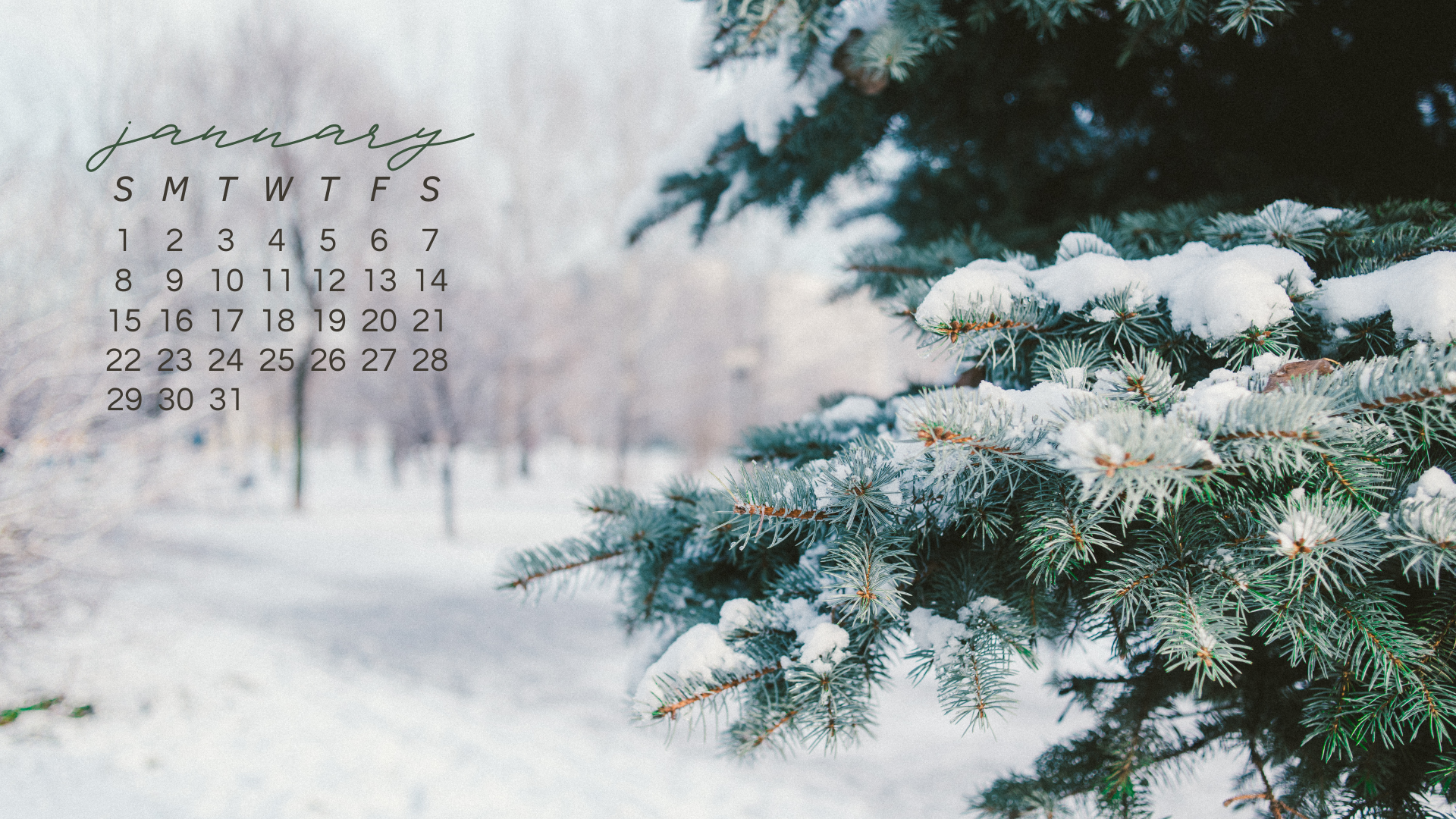 JANUARY 2023 desktop calendar backgrounds;  Here are your free January backgrounds for computers and laptops. Tech freebies for this month!