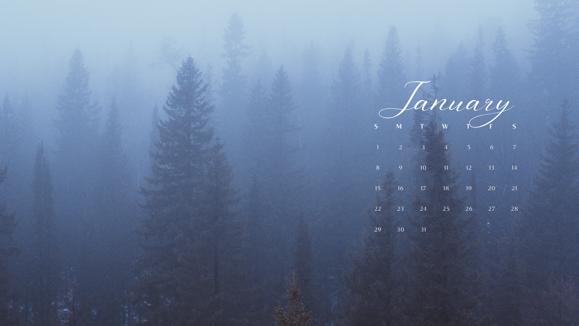 JANUARY 2023 desktop calendar backgrounds;  Here are your free January backgrounds for computers and laptops. Tech freebies for this month!