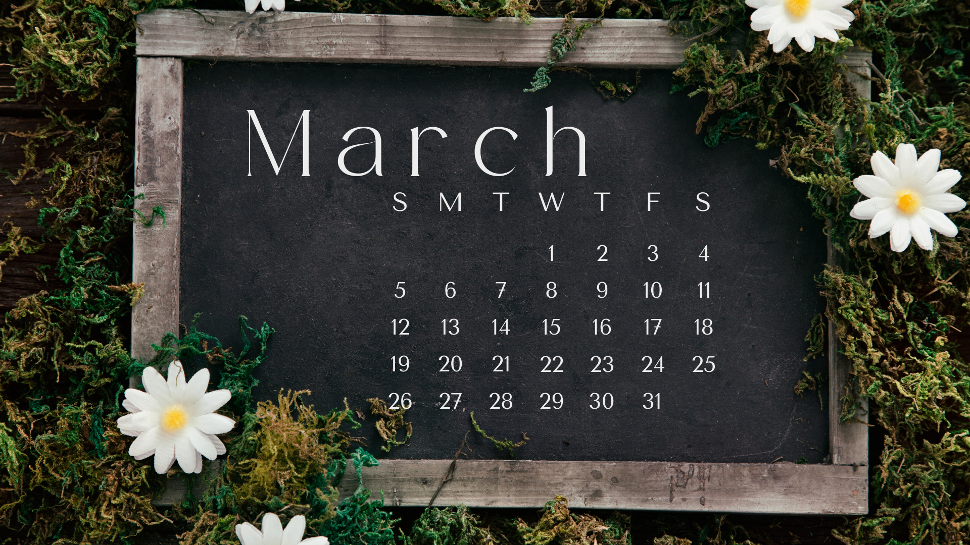 MARCH 2023 desktop calendar backgrounds;  Here are your free March backgrounds for computers and laptops. Tech freebies for this month!