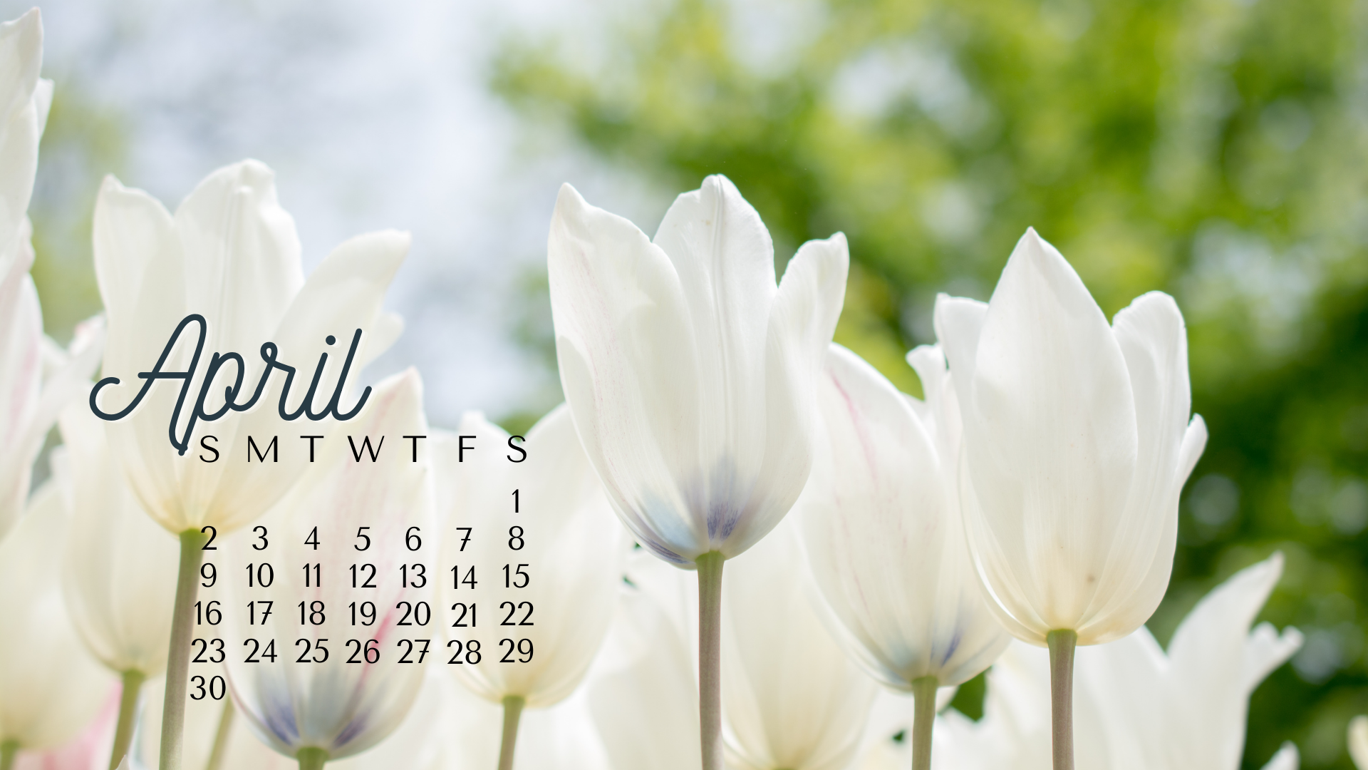APRIL 2023 desktop calendar backgrounds;  Here are your free March backgrounds for computers and laptops. Tech freebies for this month!