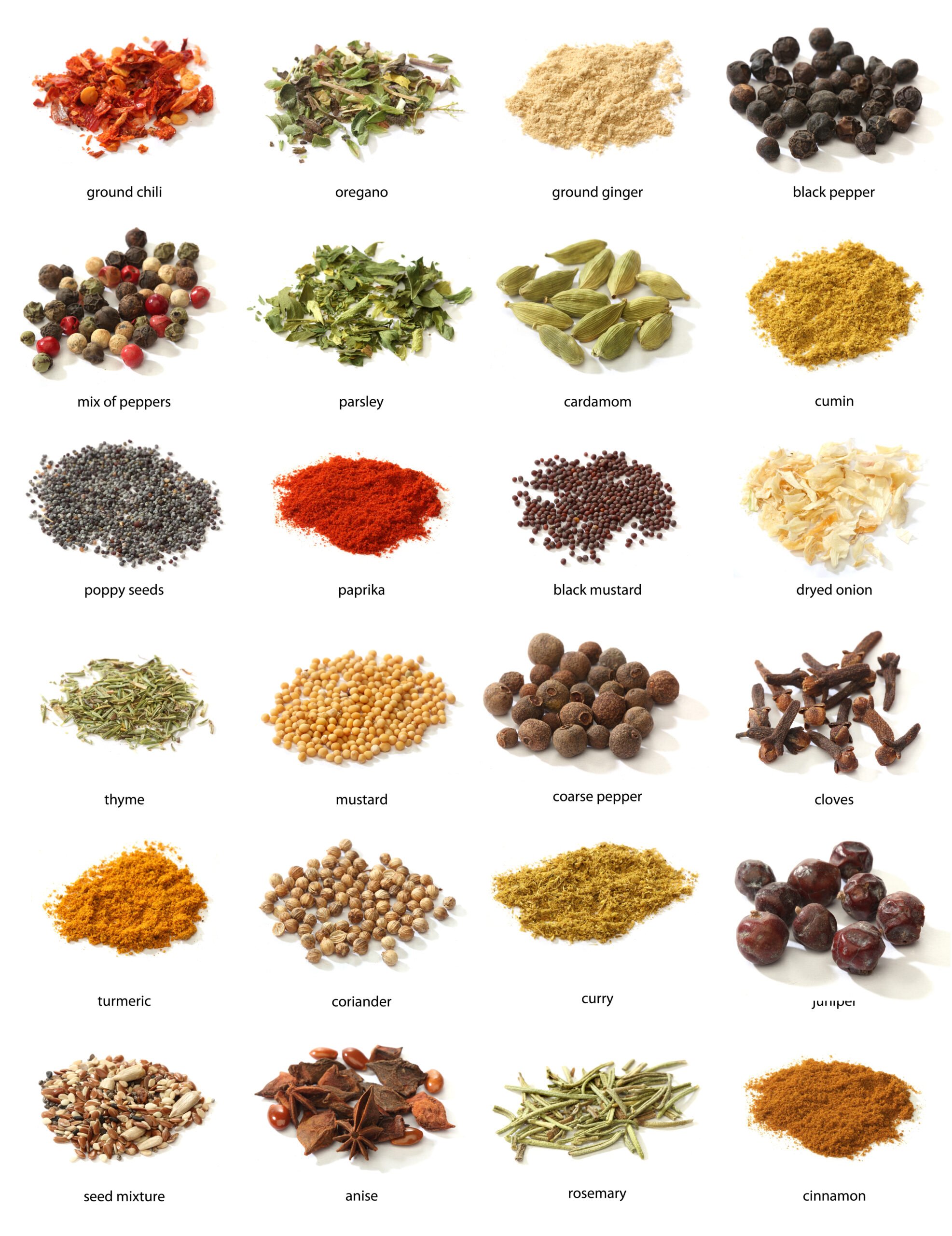 Top 10 Herbs and Spices for Cooking: the best herbs and spices in the typical household for the perfect dishes.