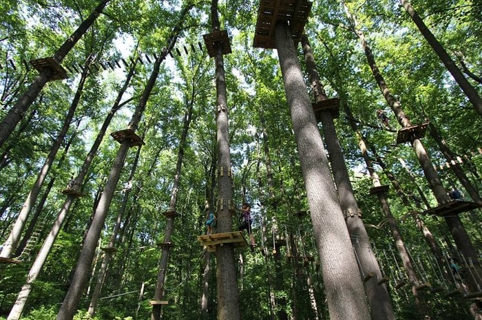 Adventure Park, Wheatley Heights - Top 5 Locations in New York State That Are Interesting to Explore