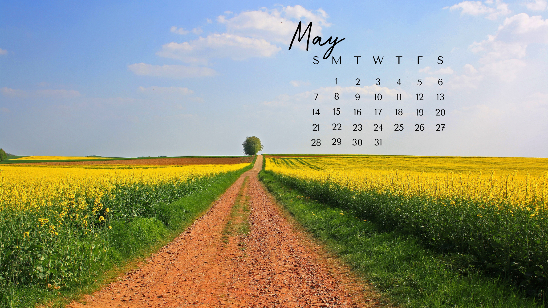 MAY 2023 desktop calendar backgrounds;  Here are your free May backgrounds for computers and laptops. Tech freebies for this month!