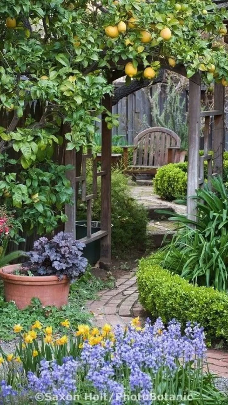 Where To Find Inspiration For Your Landscape Gardening Project; Spruce up your outdoor space with some new landscape gardening ideas