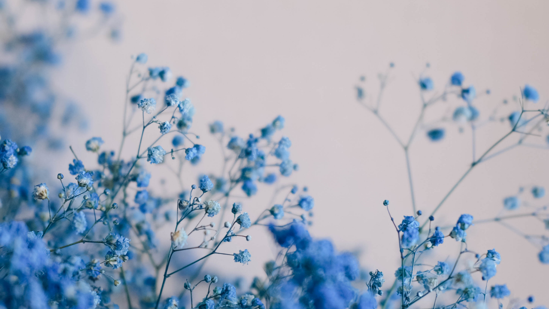 25 CUTE BLUE AESTHETIC WALLPAPER DESKTOP (FREE)