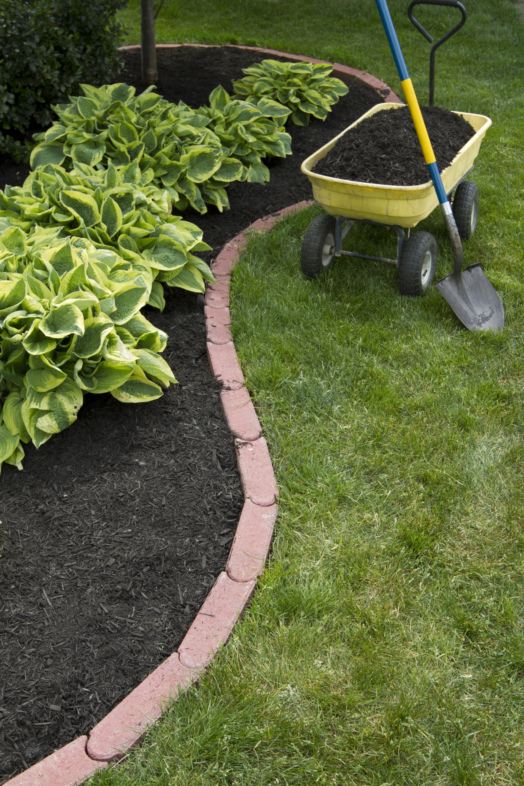 Discover expert tips for creating a serene garden with landscaping north york. Learn how to design your outdoor space, select the right plants, and create inviting seating areas.