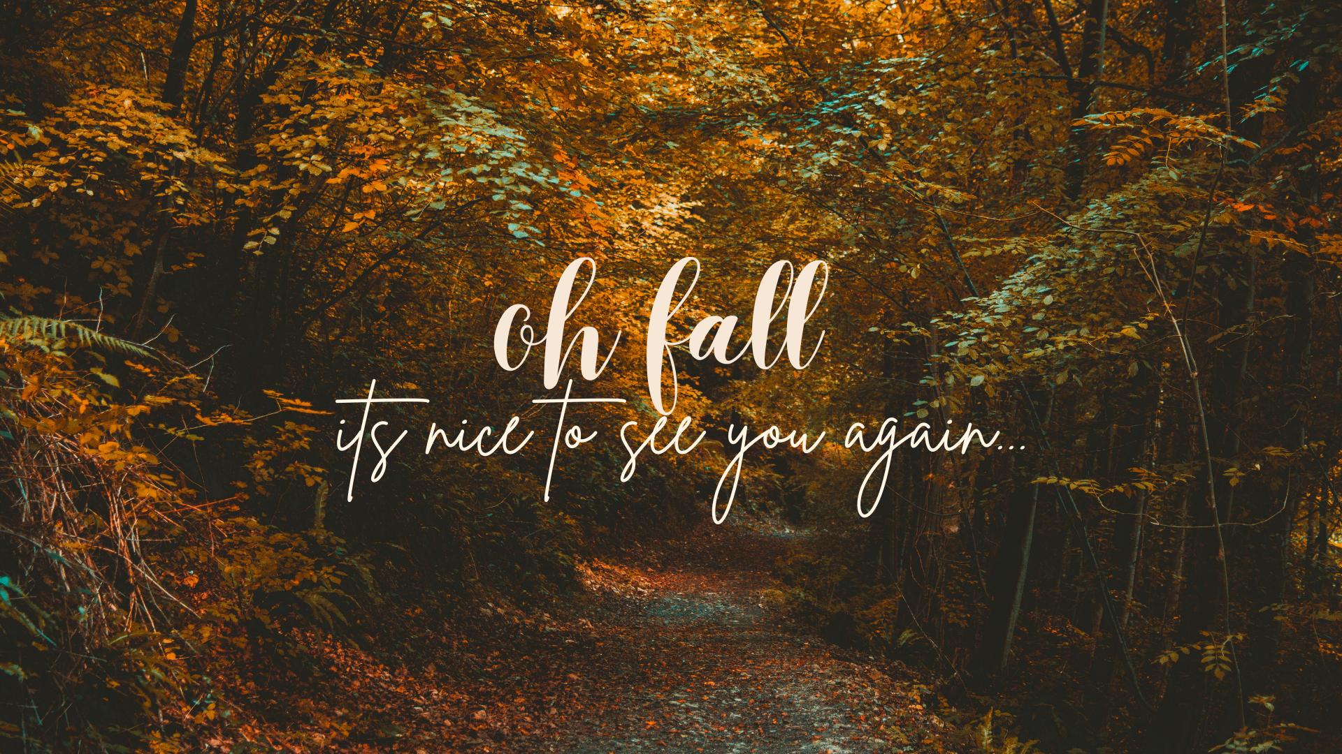 A collection of free aesthetic fall wallpapers available for iPhone and desktop. These wallpapers capture the beauty of autumn with vibrant foliage, cozy scenes, and rustic landscapes. Download and personalize your devices with these stunning fall-themed images.