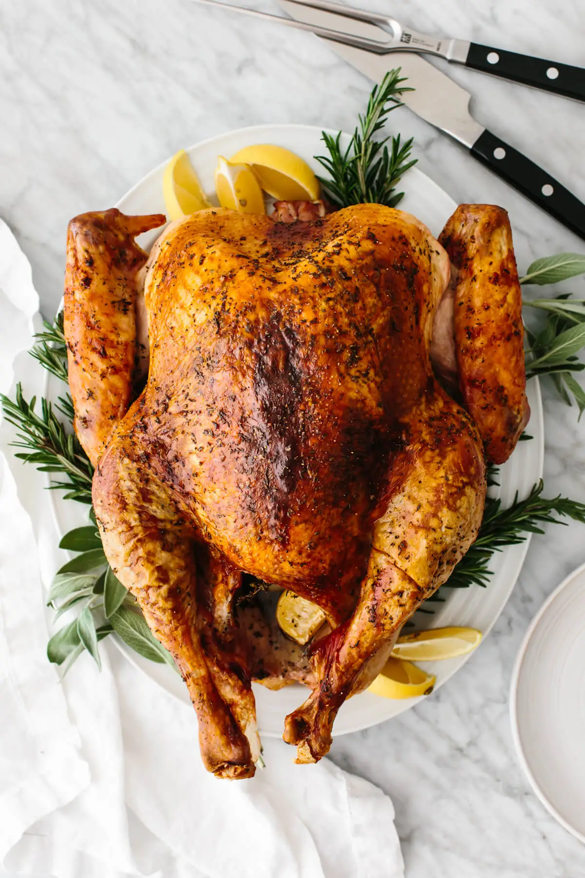 Feast your eyes on '10 Thanksgiving Dinner Must-Haves for The Perfect Meal,' where we delve into the absolute essentials of the grand Thanksgiving feast. From the star turkey to the final sweet note of a pie, we've got you covered for a meal that's both delicious and memorable
