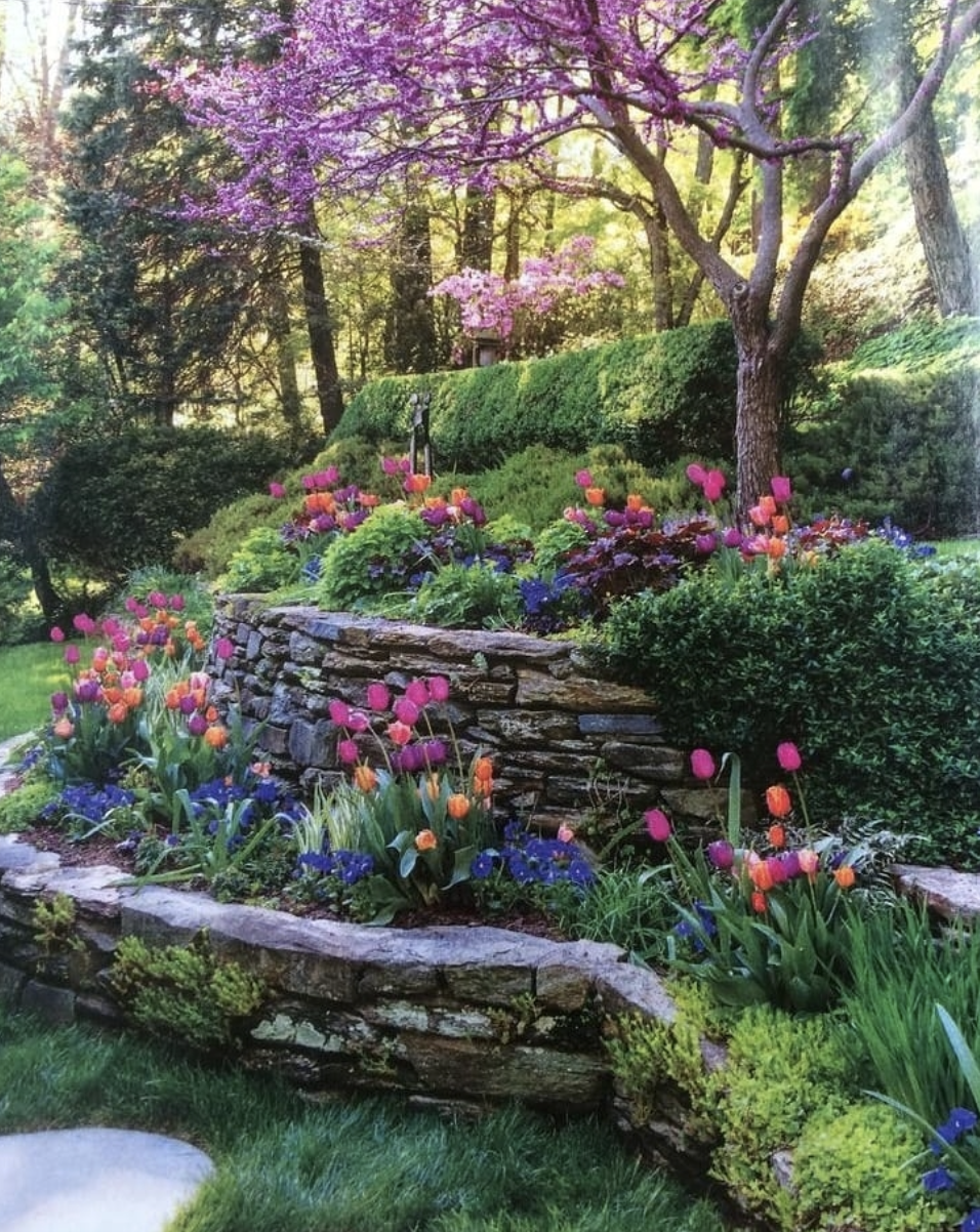 Discover 15 innovative and tranquil landscaping ideas here! From serene garden spaces to vibrant floral arrangements, transform your outdoor living space into a natural sanctuary. Begin your journey towards a breathtaking backyard today!