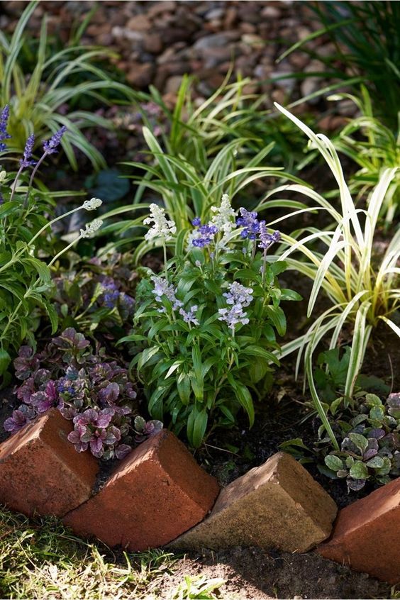 Discover 20 top garden edging ideas that'll elevate your outdoor space from plain to paradise. Perfect for green thumbs looking to add a touch of creativity and charm!