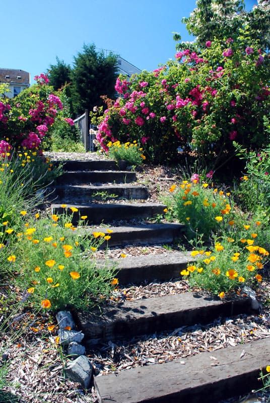 Discover 25 stunning garden stairs ideas to elevate your outdoor space. Explore creative designs for outdoor stairs and steps that seamlessly integrate into your garden.