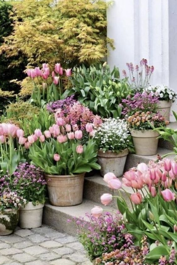 How to Prepare for Spring 2024; spring garden with potted tulips