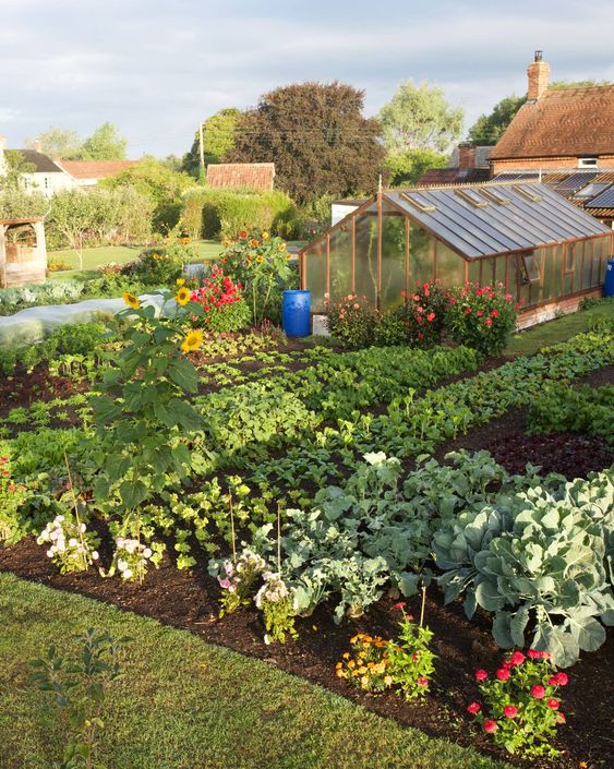 Unlock the secrets to a successful vegetable garden with my top 10 tips. Learn about proper location, soil quality, selection of vegetables, garden layout, watering, mulching, and beyond. Make the most of your green space today!