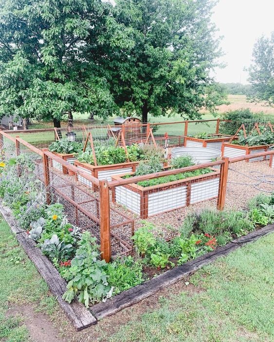 Unlock the secrets to a successful vegetable garden with my top 10 tips. Learn about proper location, soil quality, selection of vegetables, garden layout, watering, mulching, and beyond. Make the most of your green space today!