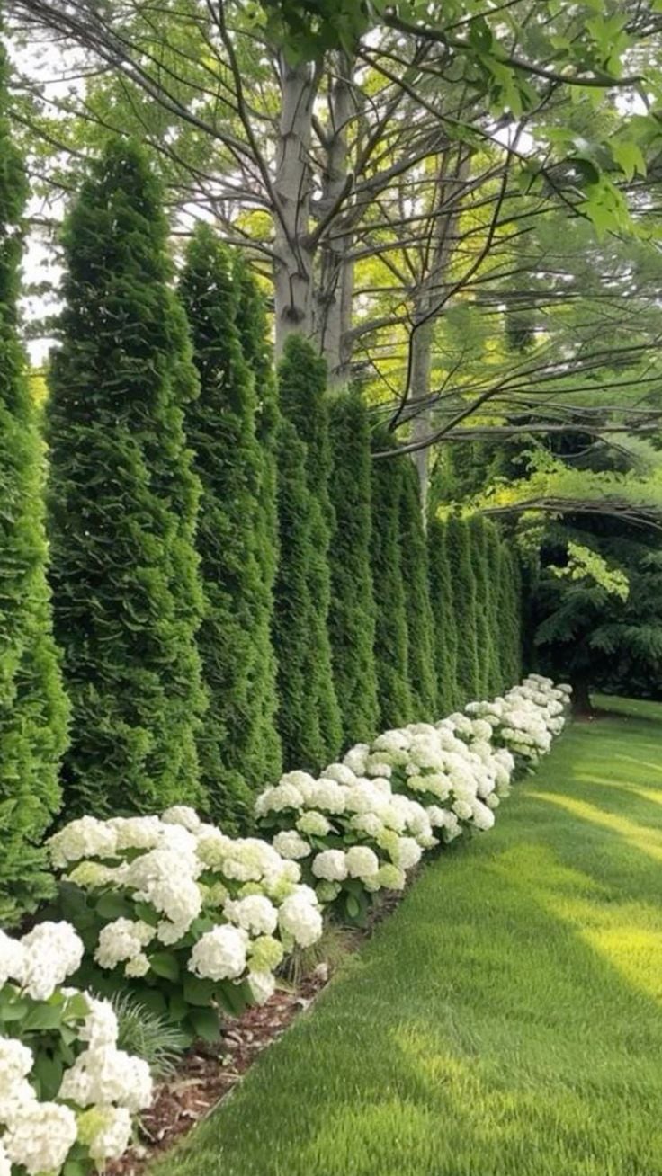 Unlock the secret to a year-round stunning outdoor space with our guide to seasonal landscaping services. Dive in for tips, tricks, and a whole lot of green-thumb magic to keep your little slice of outdoors looking fresh, no matter the season. 🌿