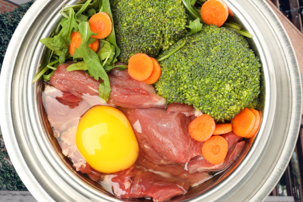 Quick and Easy Dog Meal Prep: Save Time and Feed Your Dog Right