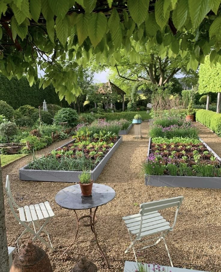 Discover transformative homestead garden ideas that optimize your space and enhance your outdoor oasis. Whether you're a beginner or a seasoned gardener, find inspiration and practical tips to create a sustainable, beautiful, and functional garden.