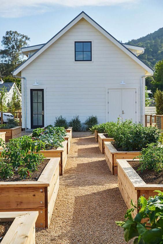 Discover transformative homestead garden ideas that optimize your space and enhance your outdoor oasis. Whether you're a beginner or a seasoned gardener, find inspiration and practical tips to create a sustainable, beautiful, and functional garden.
