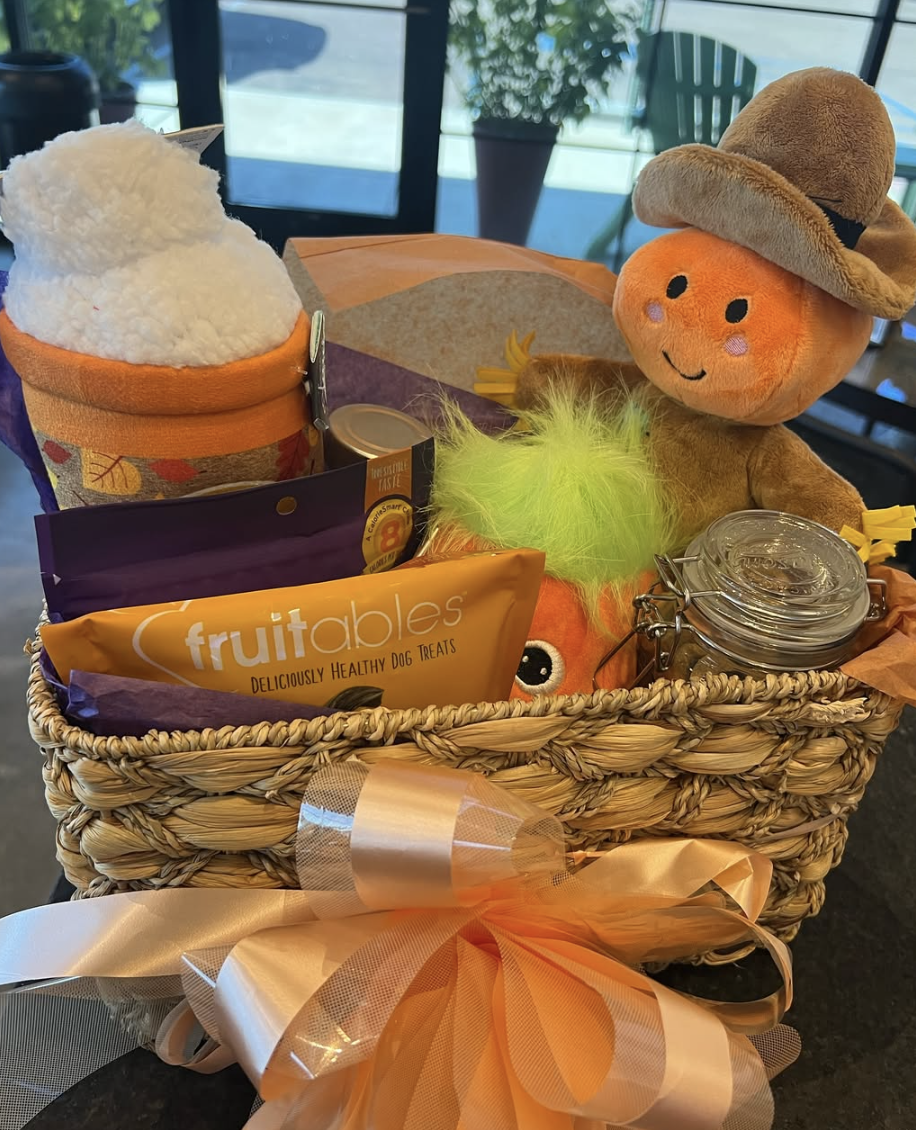 Woven fall-themed dog boo basket filled with Fruitables dog treats, plush pumpkin toys, a soft blanket, and topped with a large orange bow