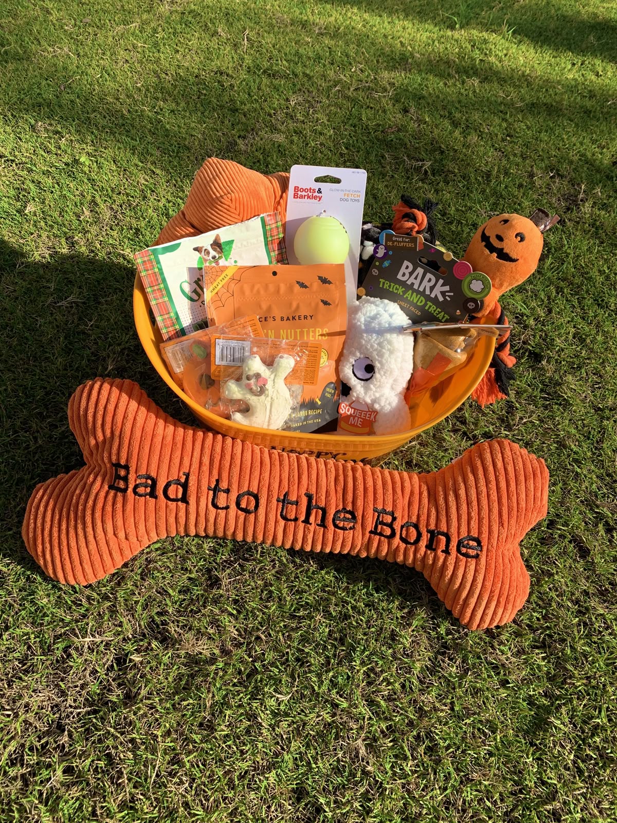 Orange Halloween-themed dog boo basket filled with toys, treats, and a plush bone labeled "Bad to the Bone" on green grass