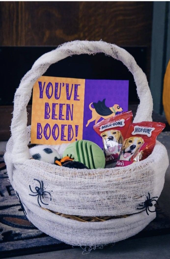 Halloween dog boo basket wrapped in white mummy gauze, filled with Milk-Bone treats, spooky dog toys, and a “You’ve Been Booed” sign