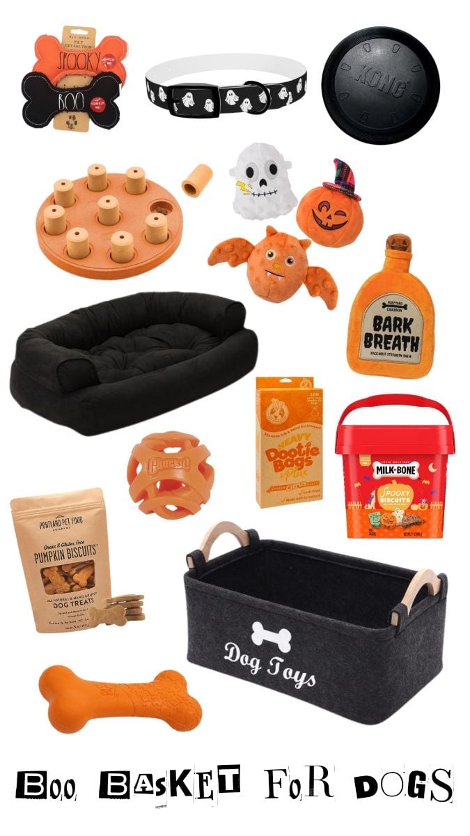 Collage of Halloween-themed dog toys, treats, collars, and accessories labeled “Boo Basket for Dogs,” featuring spooky biscuits, plush toys, and a toy bin