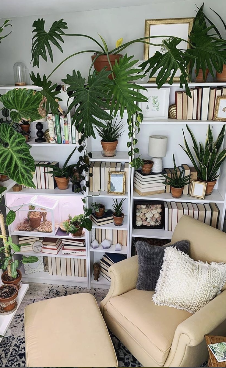 Reading nook with tan armchair, neutral bookshelves, and a variety of large leafy indoor plants and potted greenery