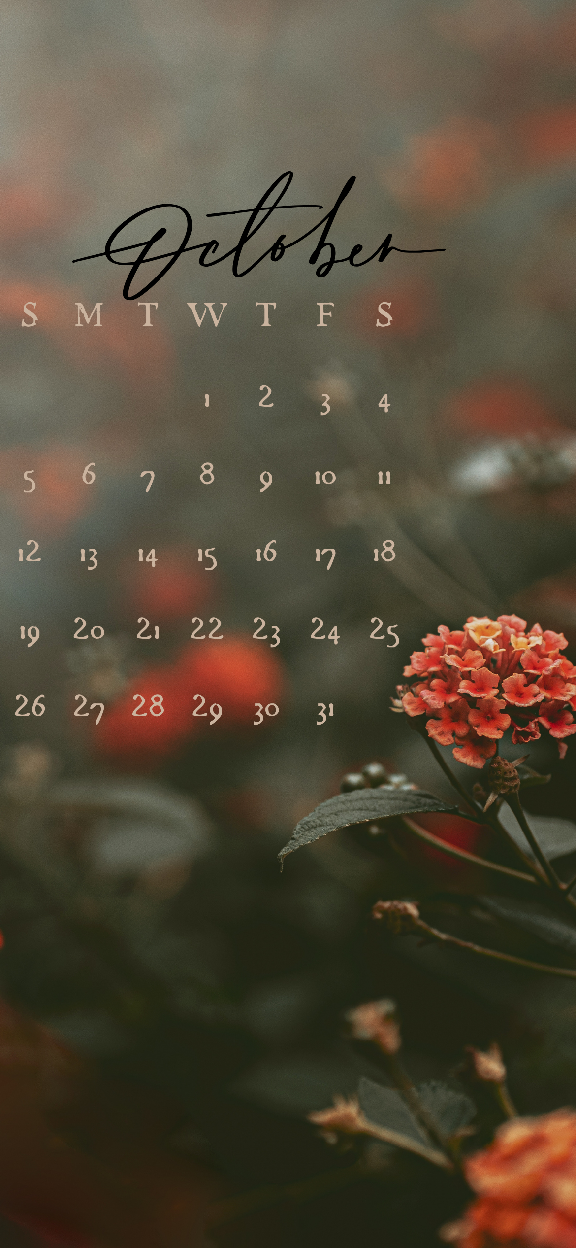 October 2025 iPhone calendar wallpaper with moody floral design and script typography – free cozy fall aesthetic iPhone background