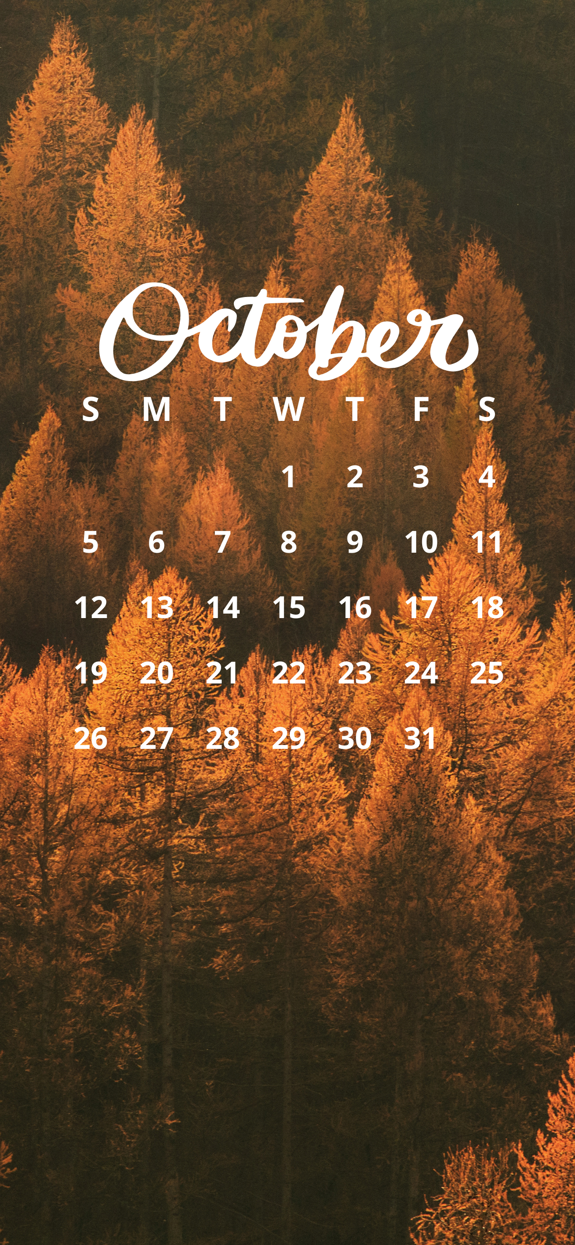 October 2025 iPhone calendar wallpaper with golden autumn forest trees and bold script font – free cozy fall iPhone background