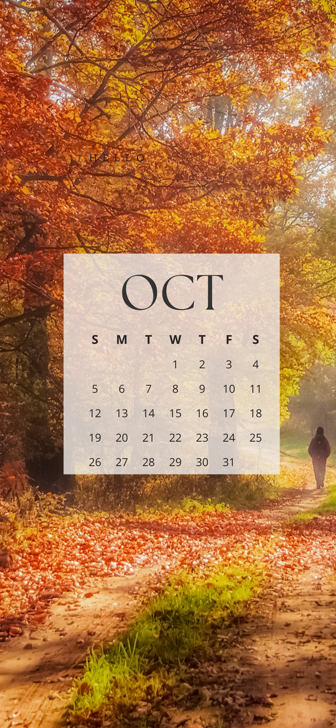 October 2025 iPhone calendar wallpaper with fall forest path, golden autumn leaves, and cozy seasonal scenery – free iPhone background download