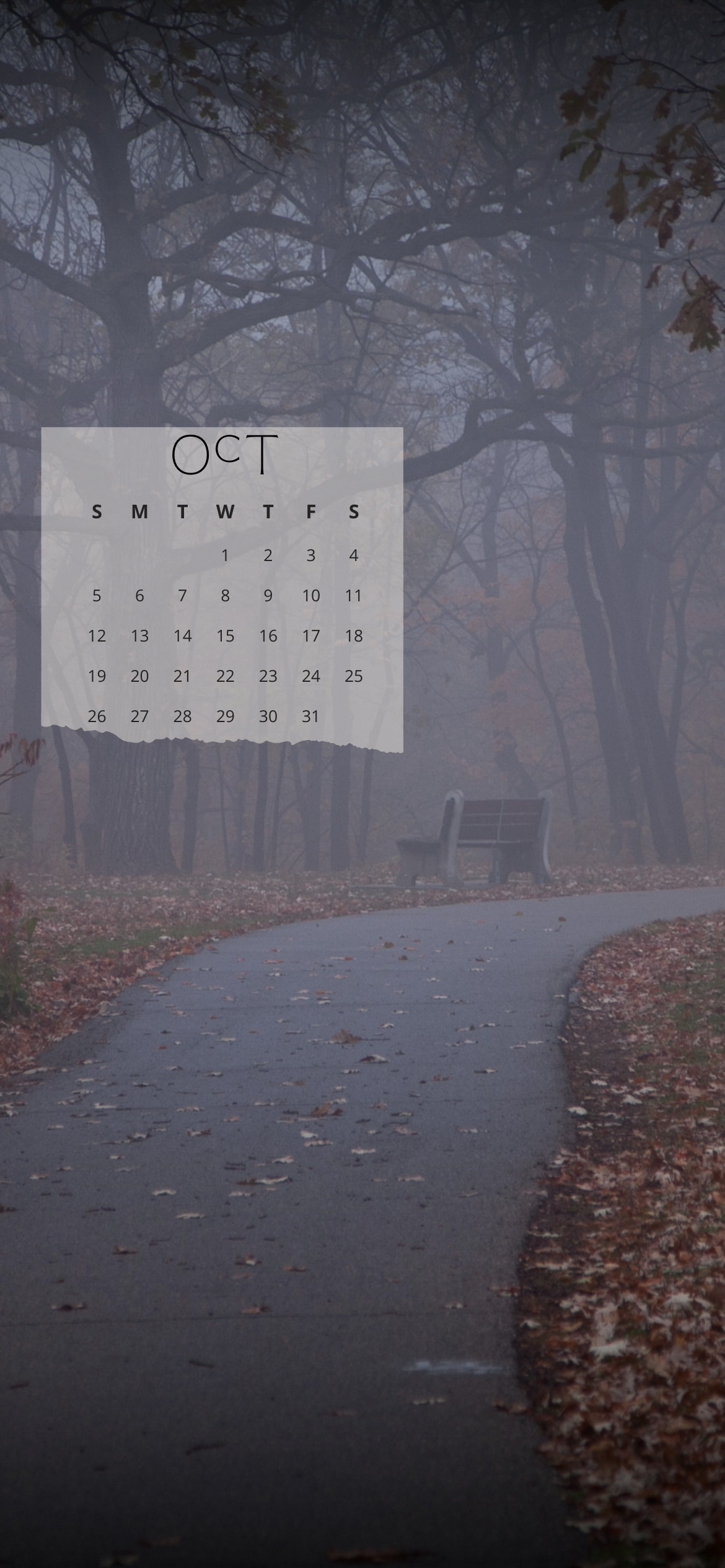 October 2025 iPhone calendar background with foggy forest path, park bench, and moody autumn vibes – free Halloween aesthetic iPhone wallpaper