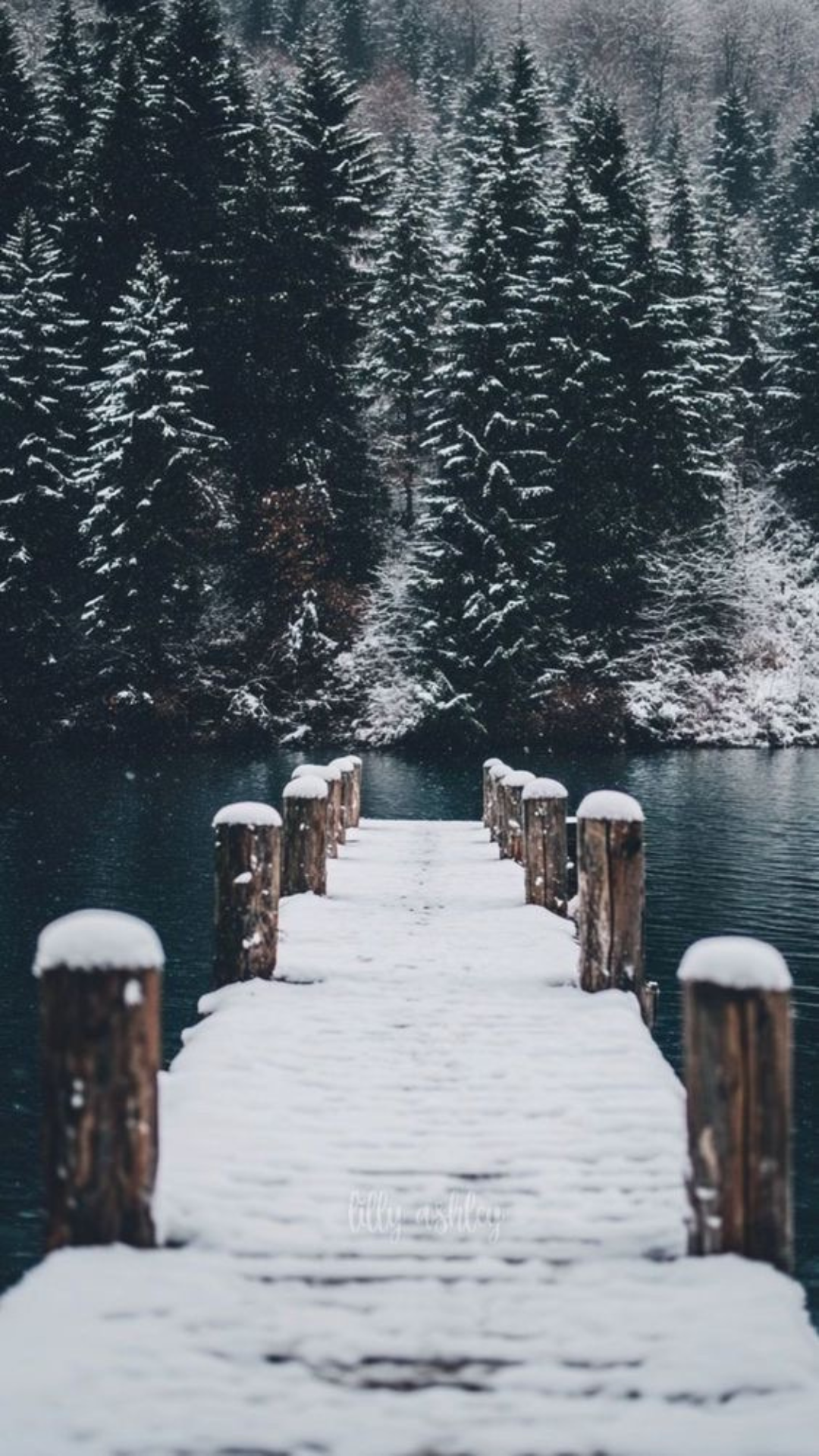 Snow-covered wooden dock leading to a calm lake surrounded by pine trees in winter, a peaceful iPhone wallpaper background.