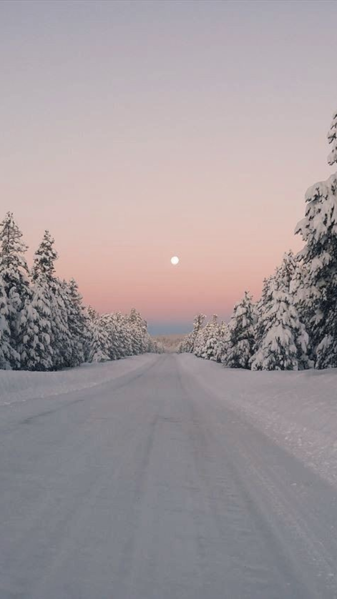 Snow-covered road lined with frosted pine trees under a pastel pink sunset sky, a serene winter iPhone wallpaper.