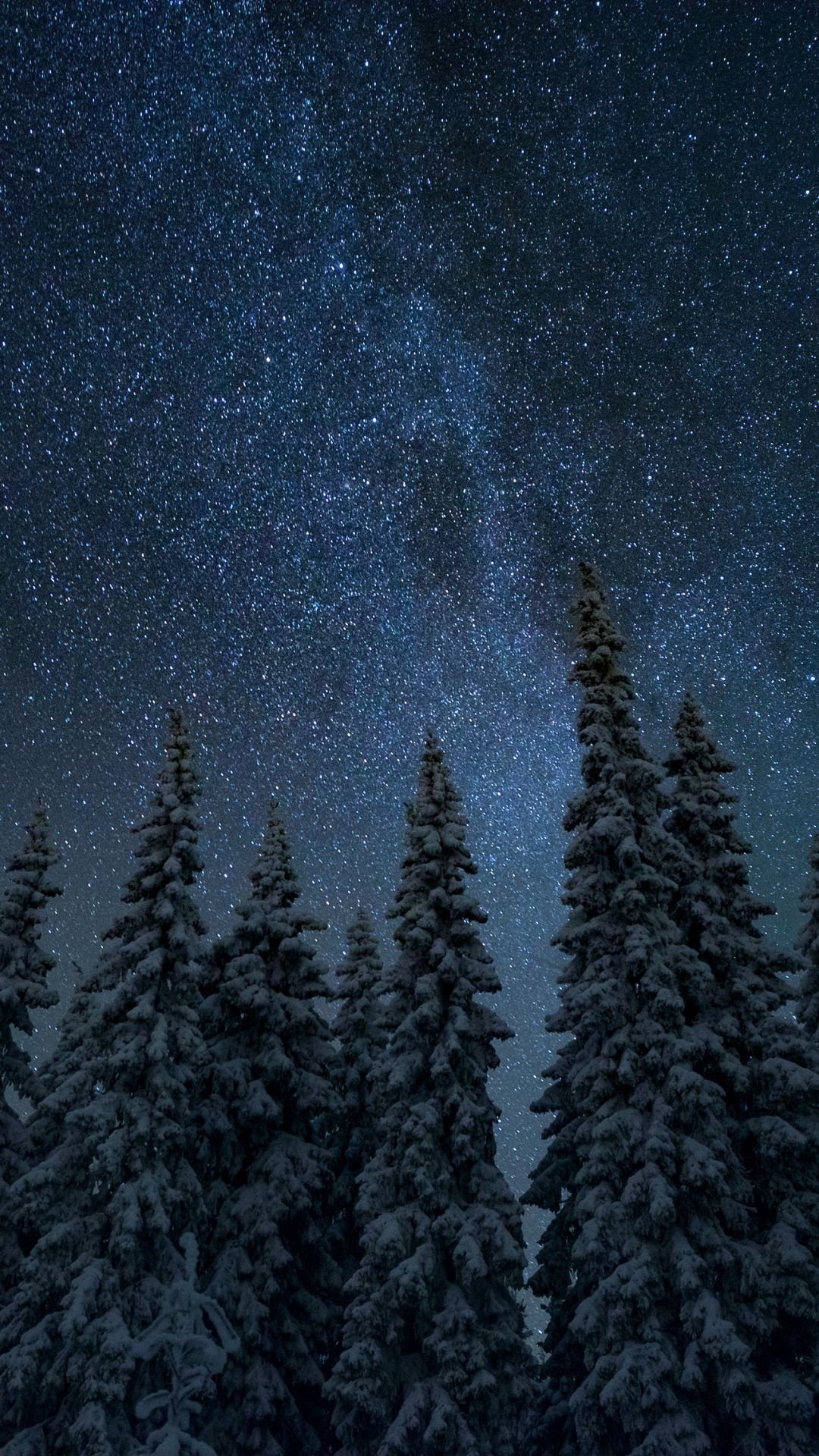 A magical moody winter iPhone background of snow-covered pine trees under a star-filled night sky.