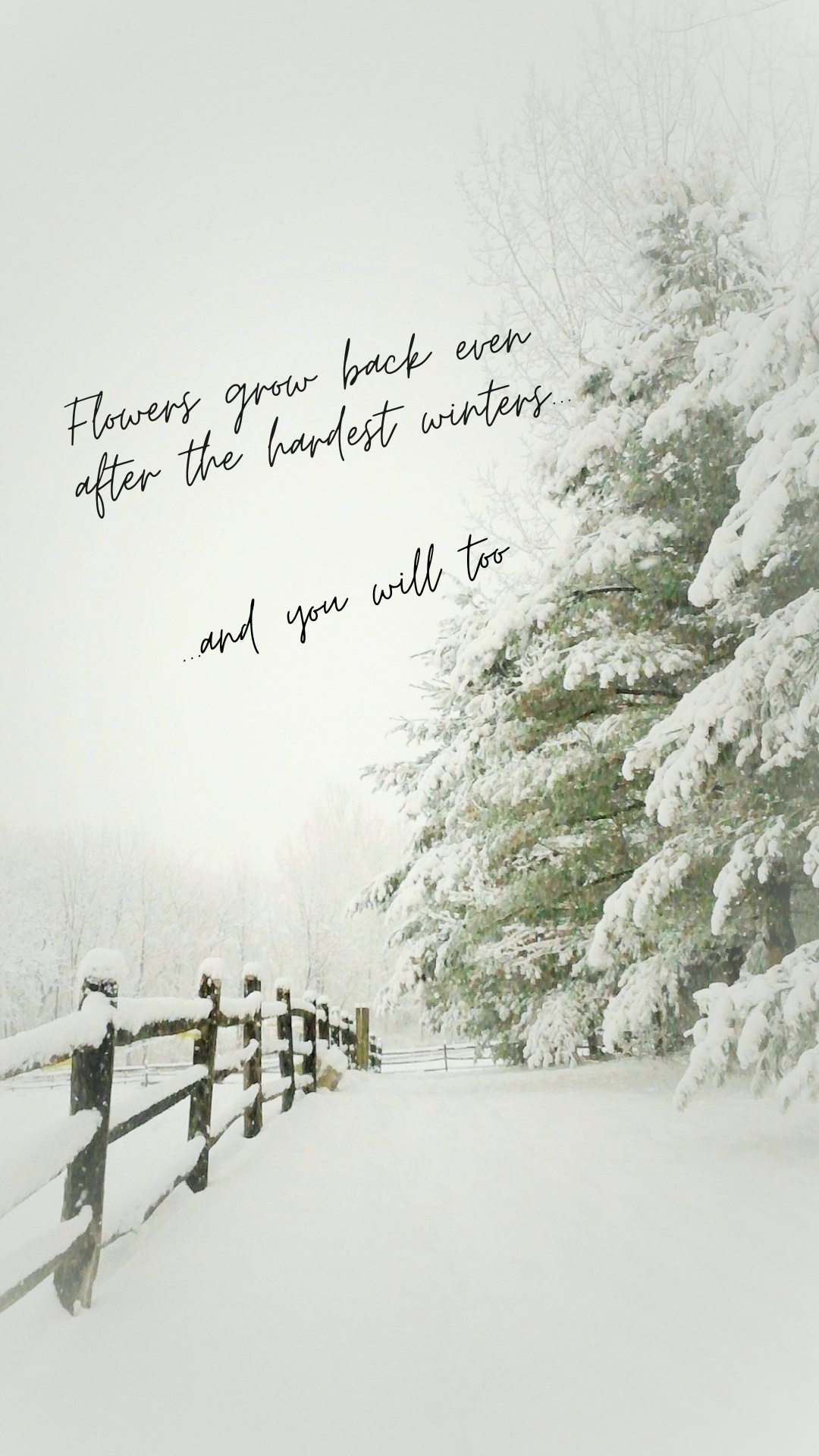 Snow-covered fence and trees with uplifting winter quote overlay: 