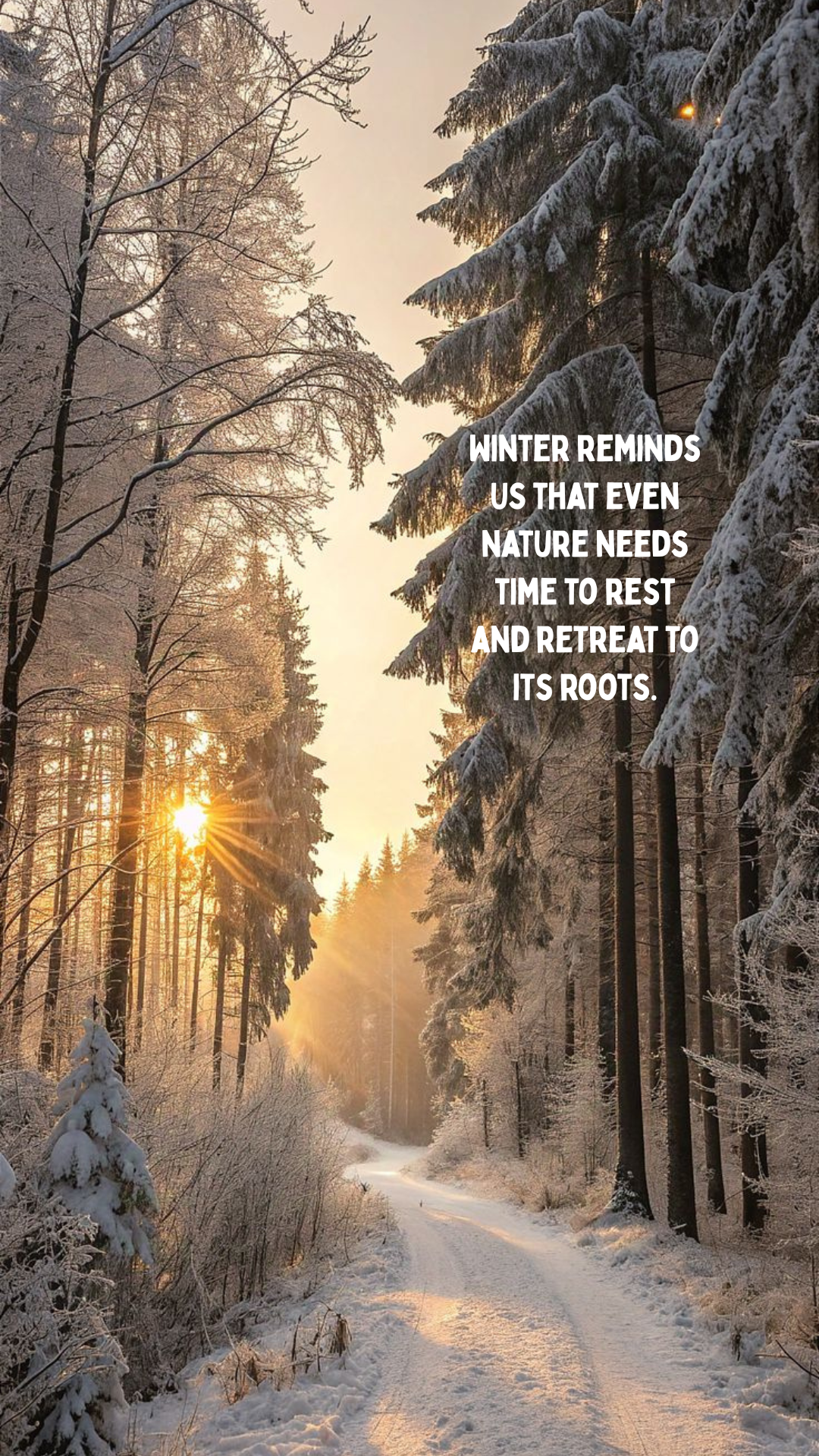 Snowy forest path at sunrise with inspirational winter quote overlay: 