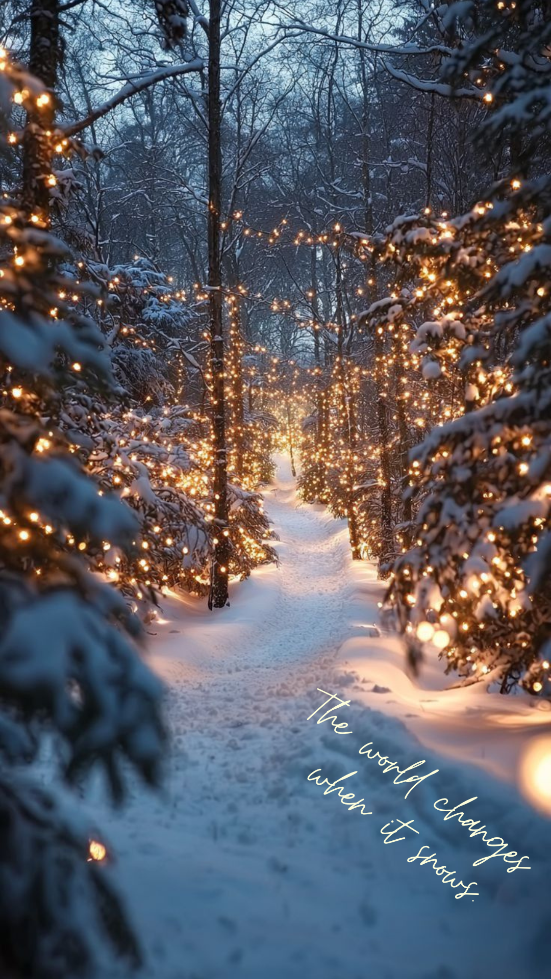 Magical snowy forest path with glowing string lights and winter quote overlay: 