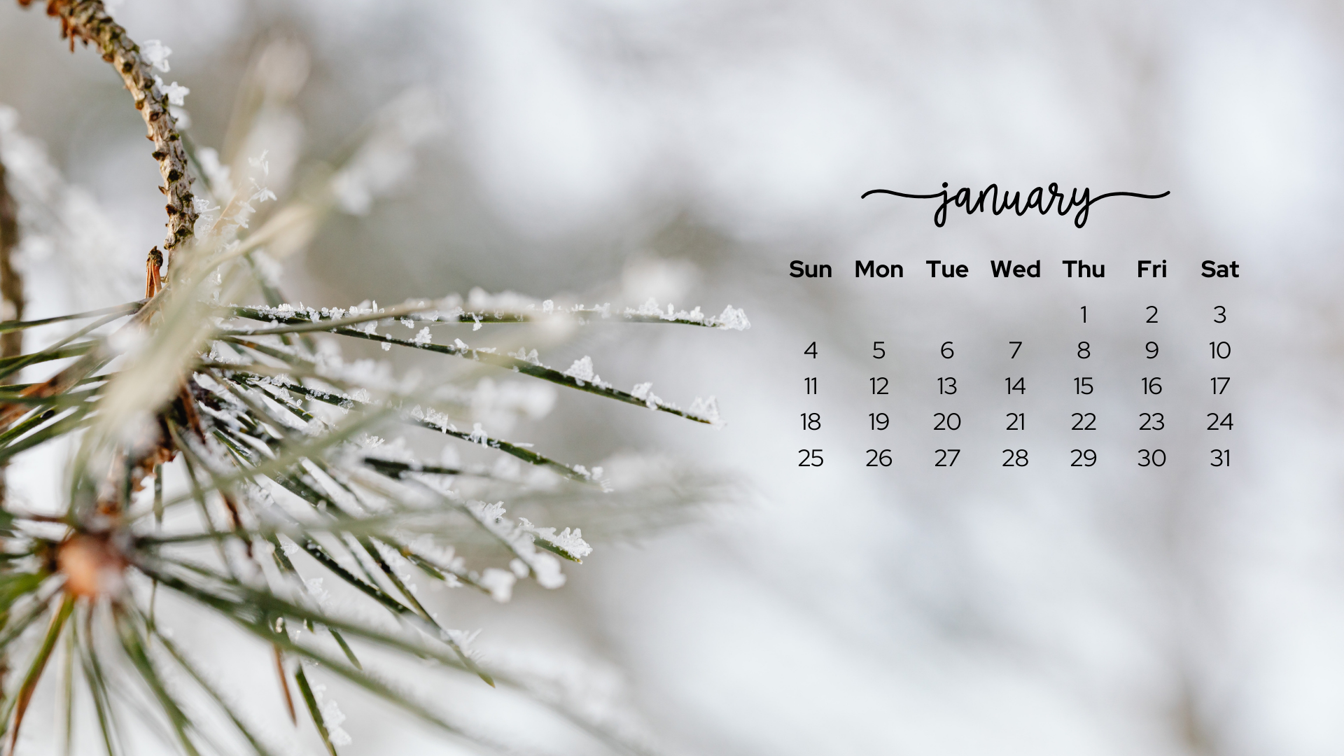 Free January 2026 Desktop Calendar Backgrounds: Here are your free January backgrounds for computers and laptops. Tech freebies for this month!