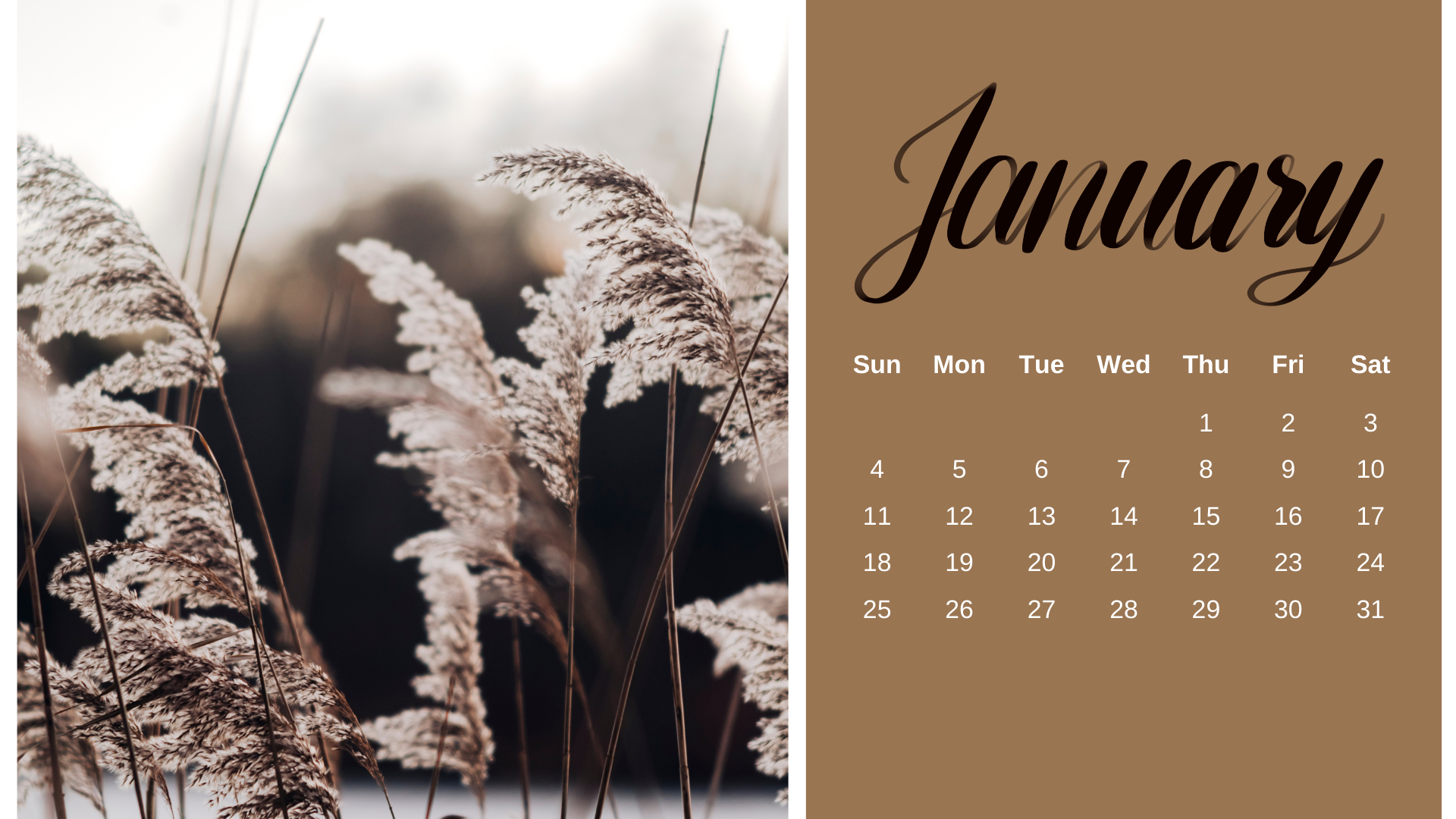 Free January 2026 Desktop Calendar Backgrounds: Here are your free January backgrounds for computers and laptops. Tech freebies for this month!